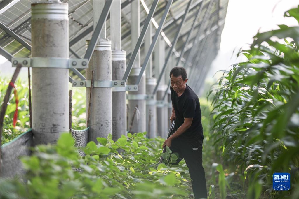 双赢网怎么注册不了了